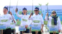 andra soni mangrove