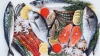 ikan
