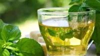 daun mint
