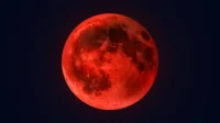 gerhana bulan total freepik