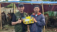 hewan kurban kota tangerang