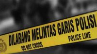 Garis-Polisi