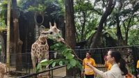 ragunan