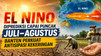 el nino