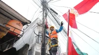 PLN 17an