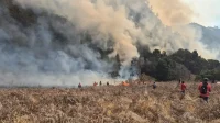 bromo pasca karhutla