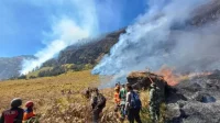 karhutla bromo